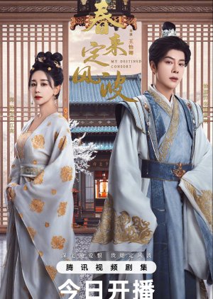 My Destined Consort (2025)